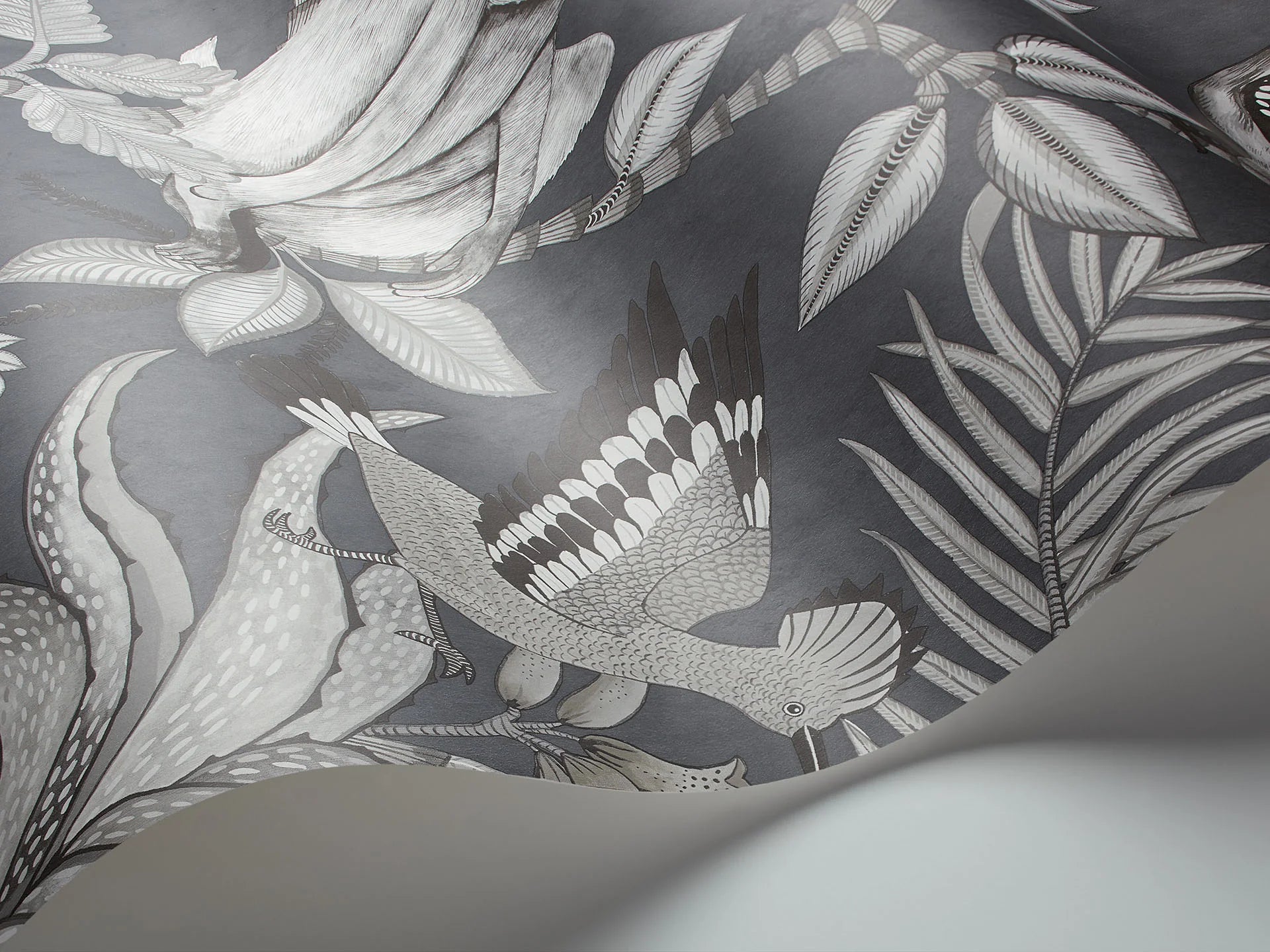 Cole & Son Ardmore Savuti, Soot on Charcoal