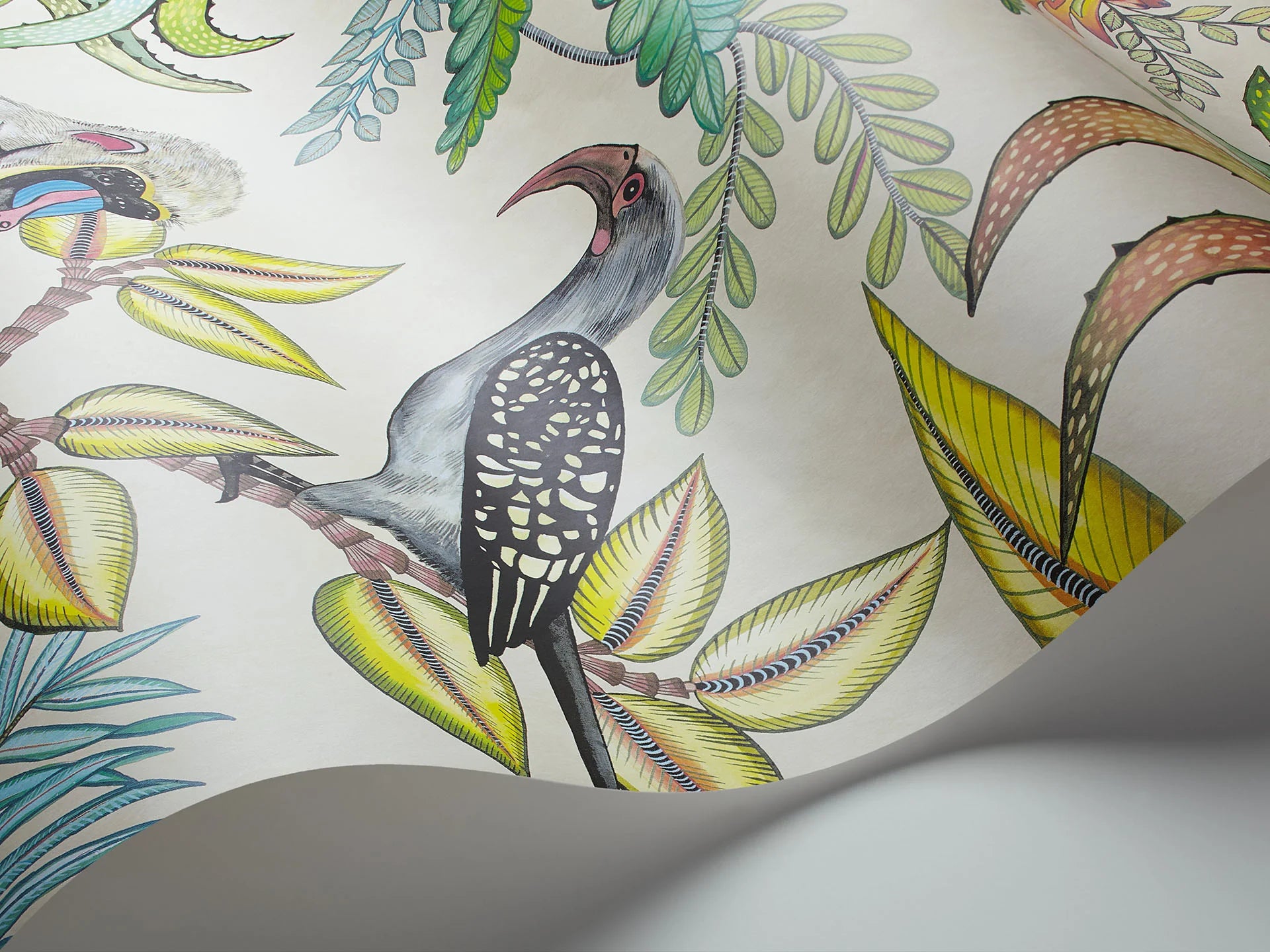 Cole & Son Ardmore Savuti, Bright Multi on Cream
