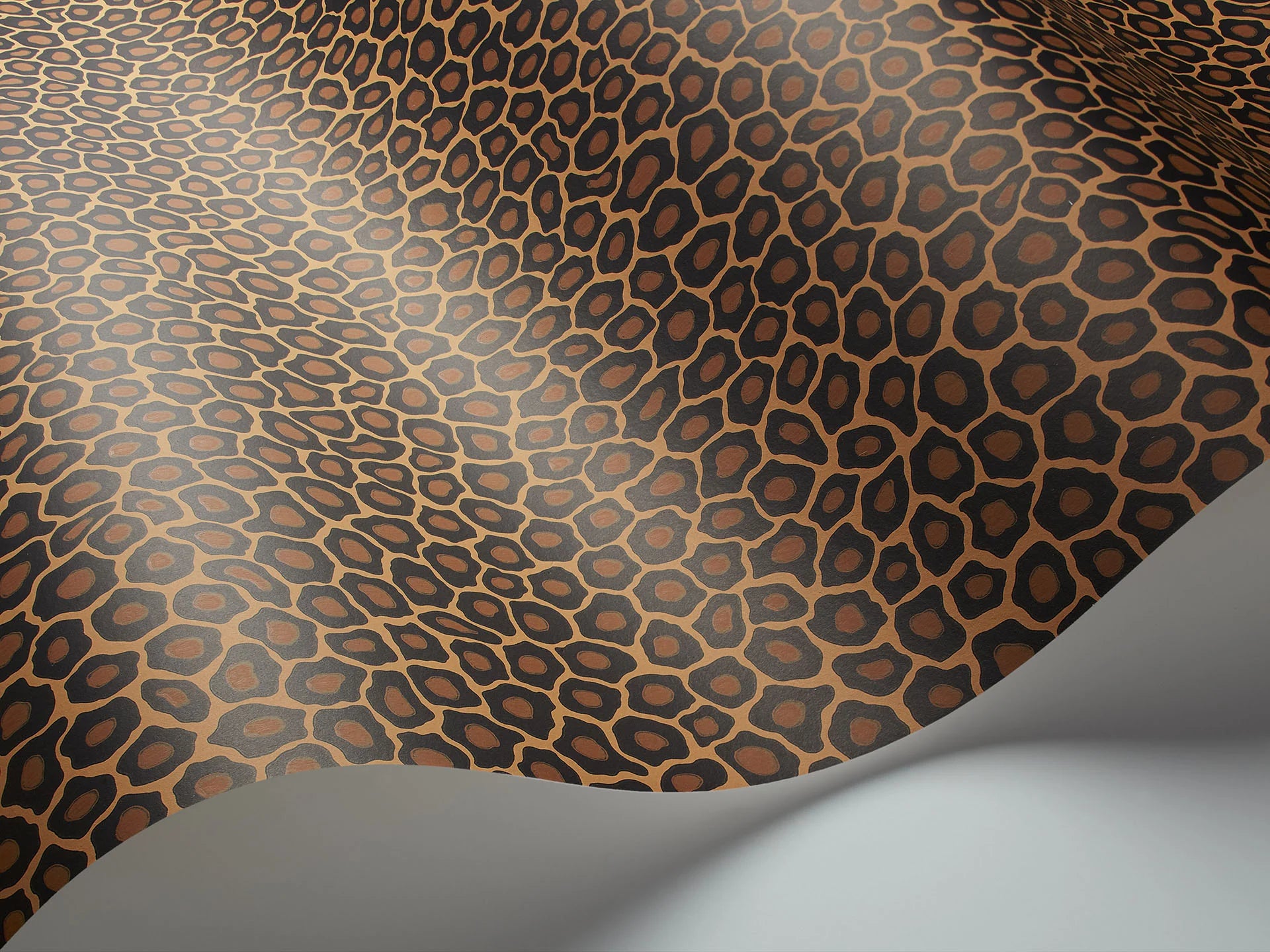 Cole & Son Ardmore Senzo Spot, Charcoal & Ginger