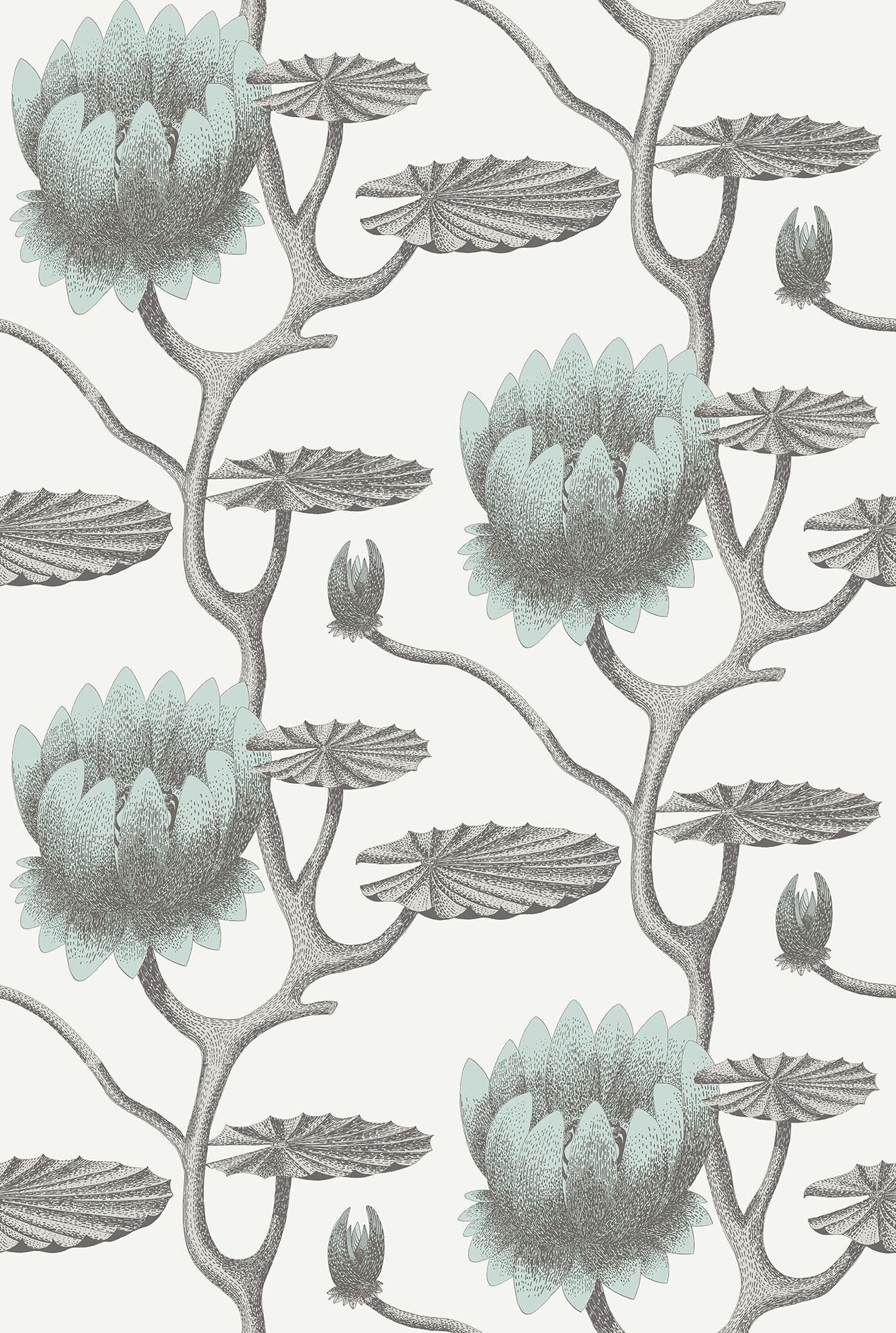 Cole & Son Contemporary Collection, Summer Lily, Print Room Blue on Chalk