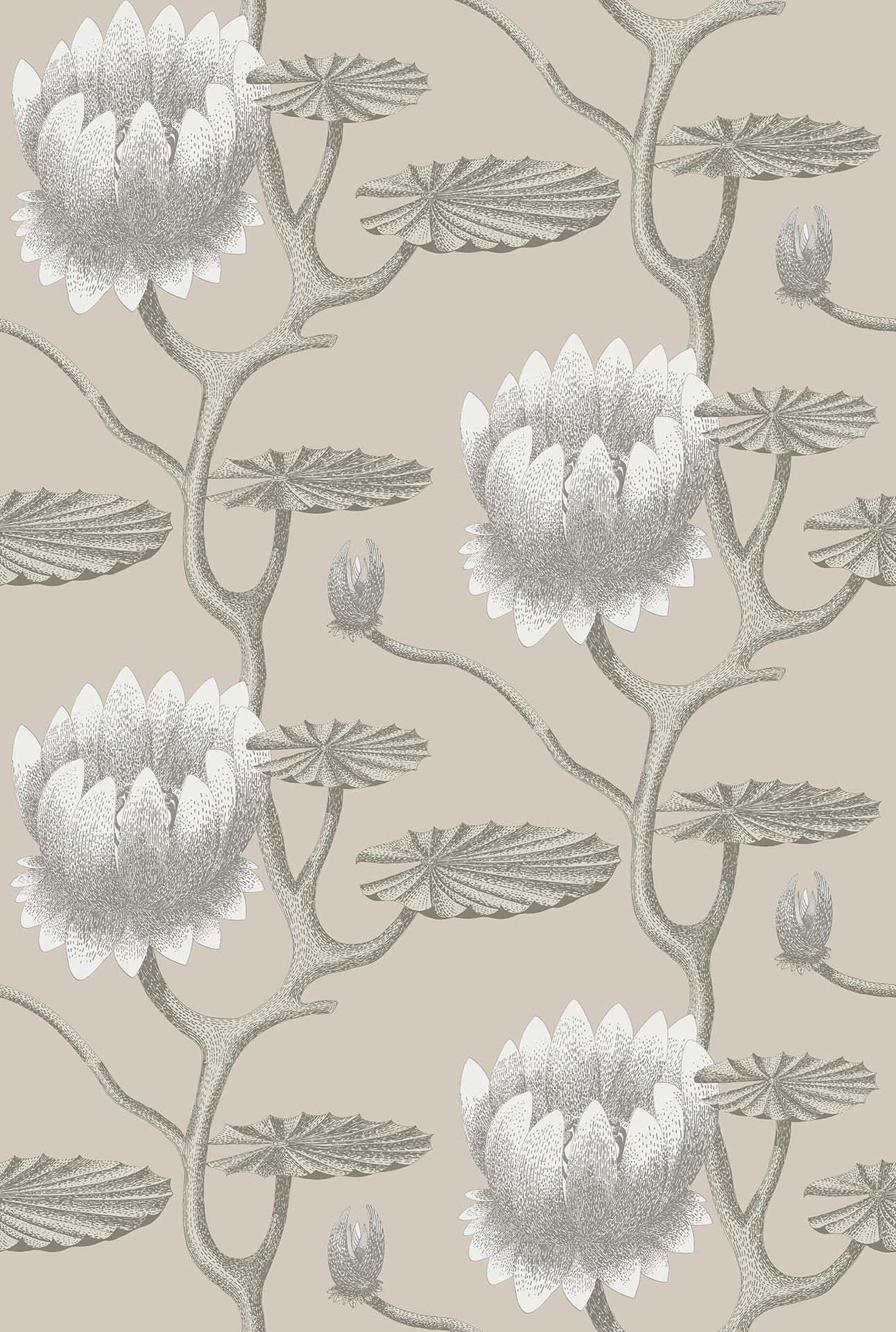 Cole & Son Contemporary Collection, Summer Lily, White on Stone