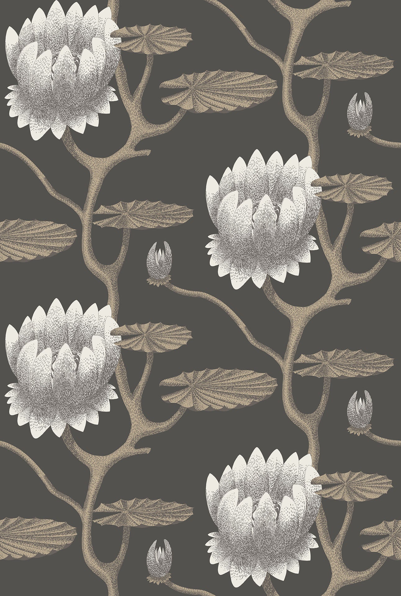 Cole & Son Contemporary Collection, Summer Lily, White & Metallic Gilver on Charcoal