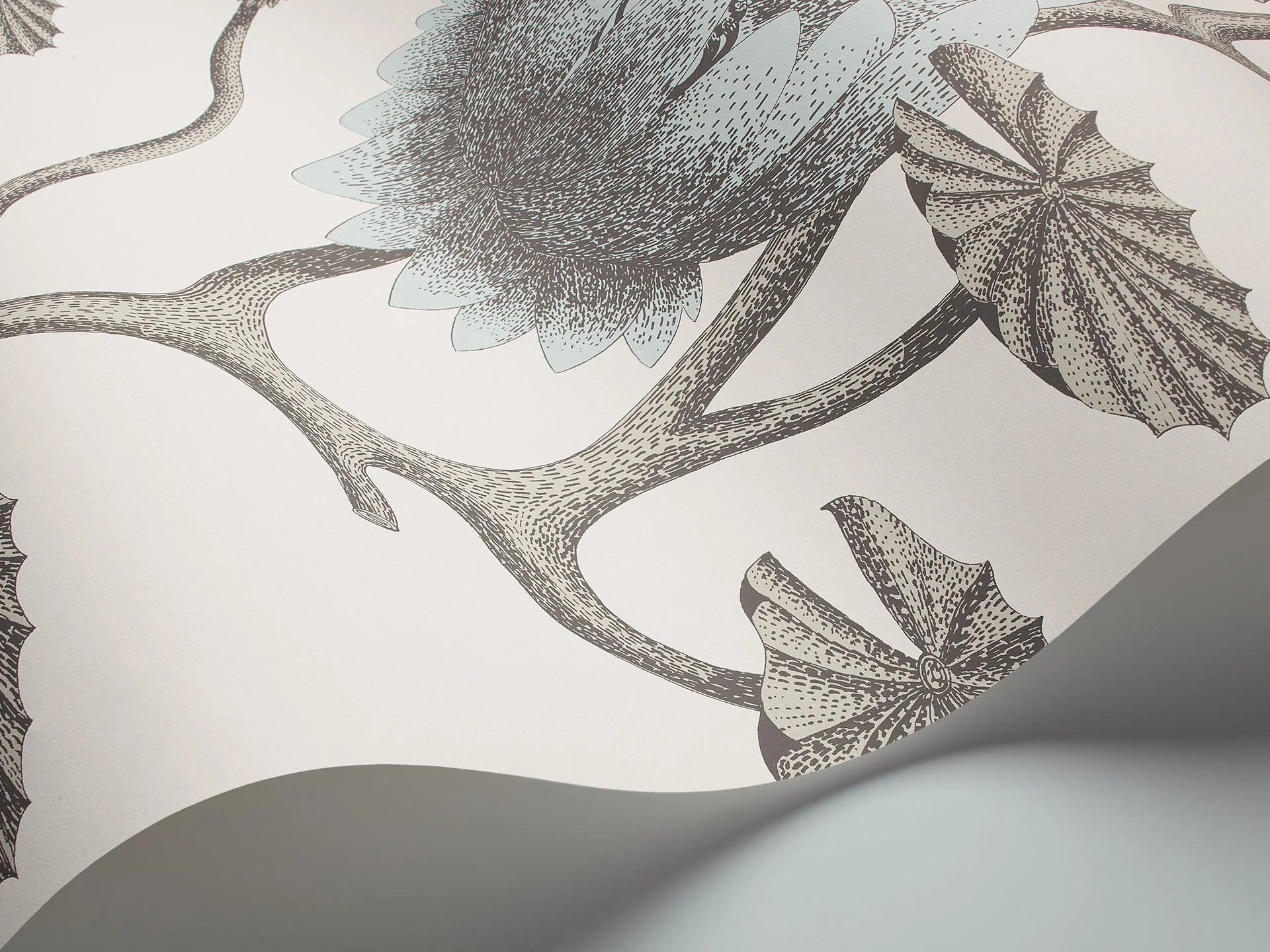 Cole & Son Contemporary Collection, Summer Lily, Print Room Blue on Chalk
