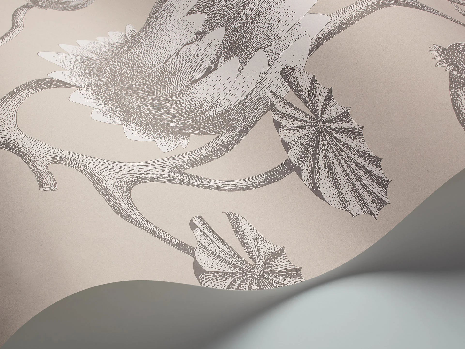Cole & Son Contemporary Collection, Summer Lily, White on Stone