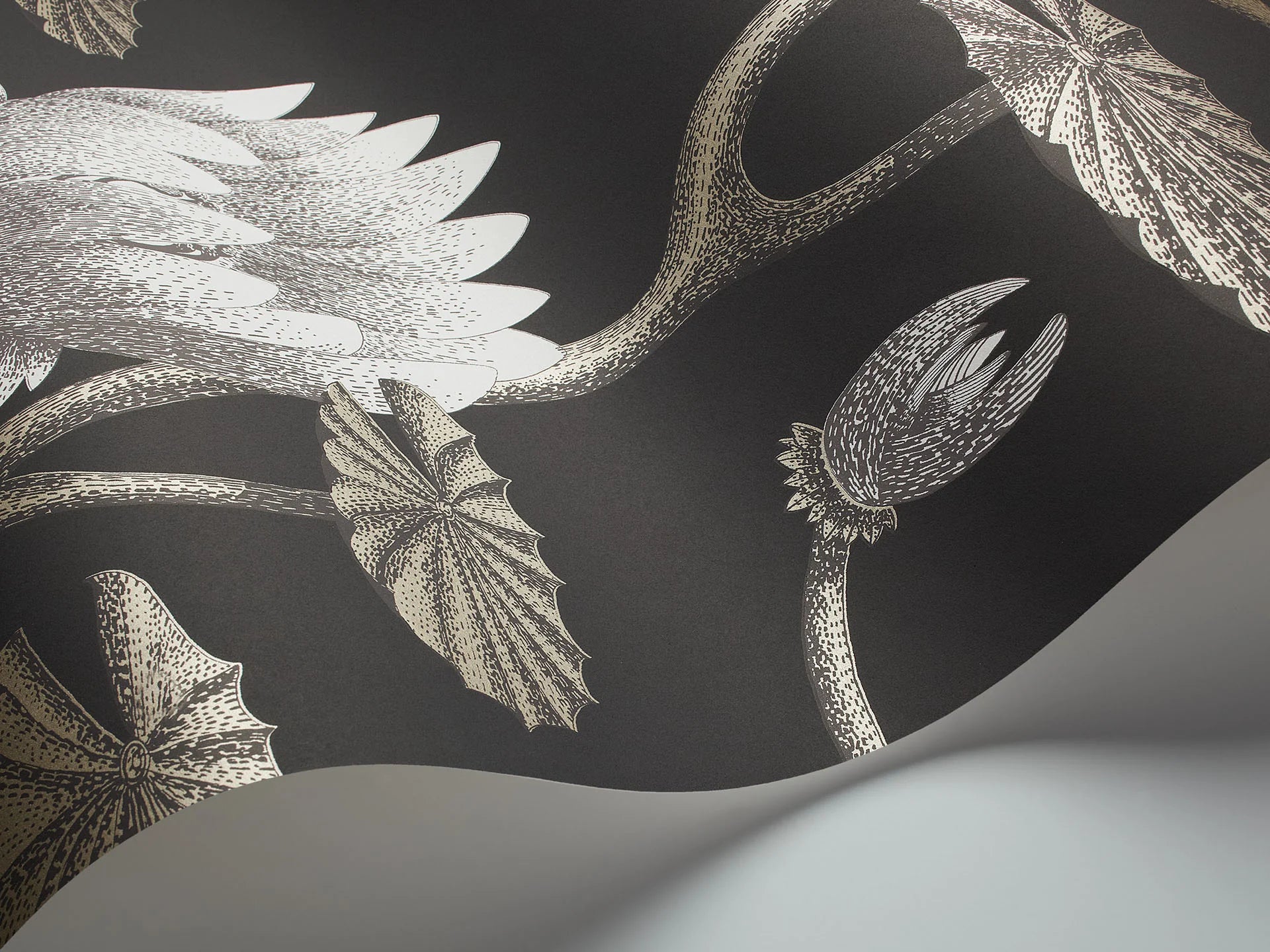 Cole & Son Contemporary Collection, Summer Lily, White & Metallic Gilver on Charcoal