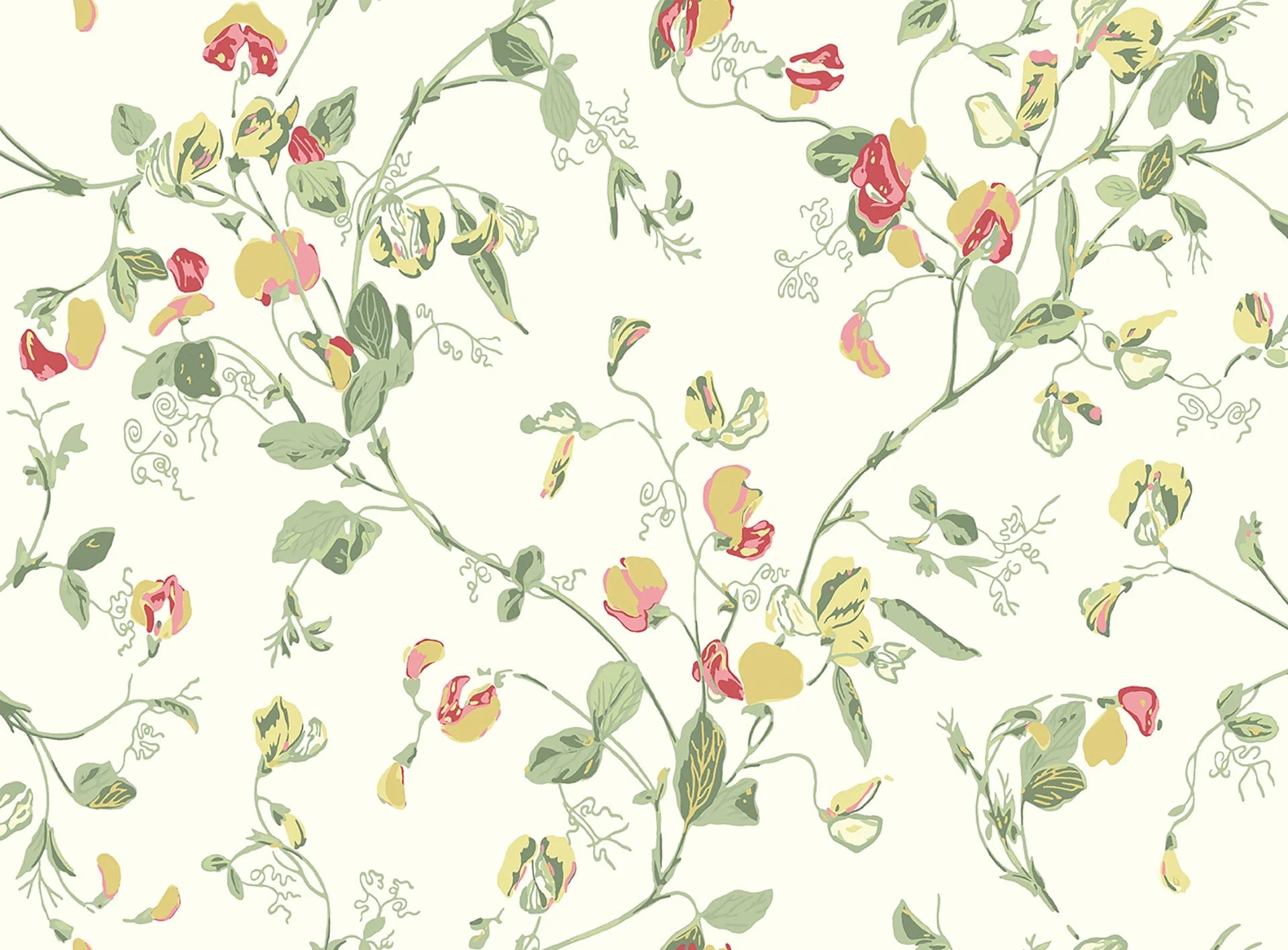Cole & Son Botanical - Botanica  ,Sweet Pea Archive Anthology