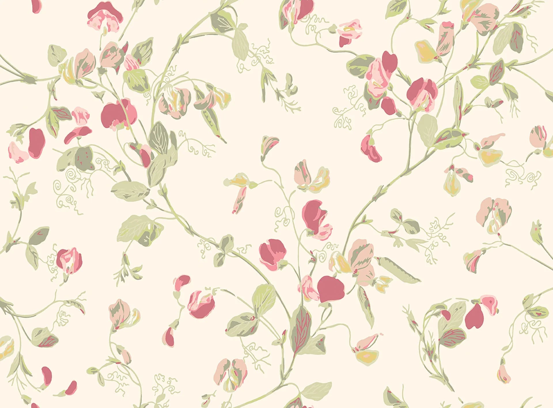 Cole & Son Botanical - Botanica  , Sweet Pea Archive Anthology Coral & Olive on Cream