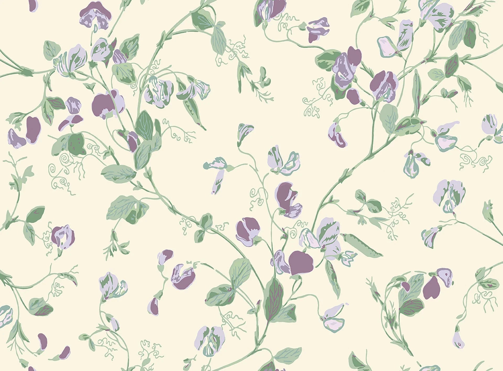 Cole & Son Botanical - Botanica  , Sweet Pea Archive Anthology , Mulberry & Sage on Cream