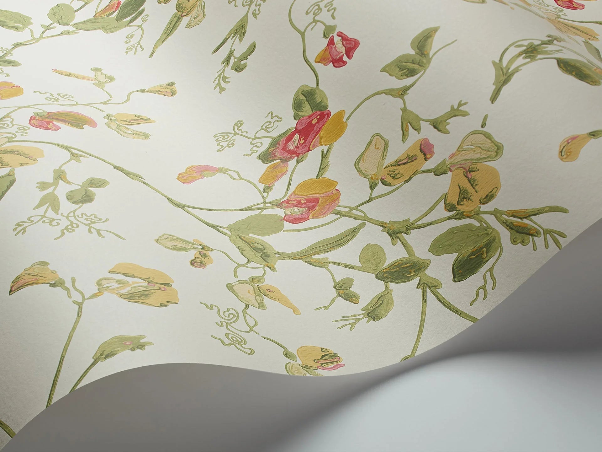 Cole & Son Botanical - Botanica  ,Sweet Pea Archive Anthology