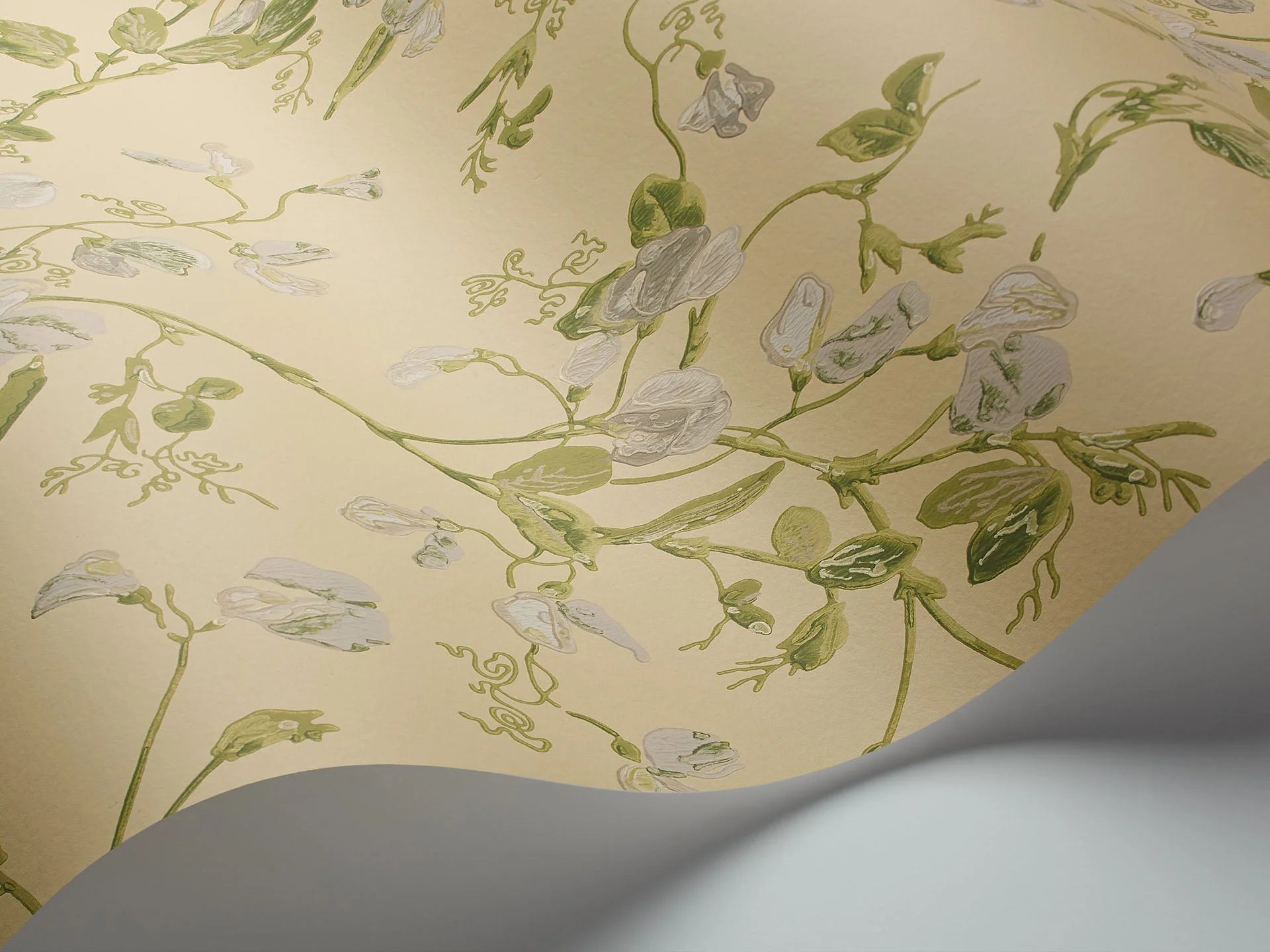 Cole & Son Botanical - Botanica  , Sweet Pea Archive Anthology , Grey & Lime on Yellow
