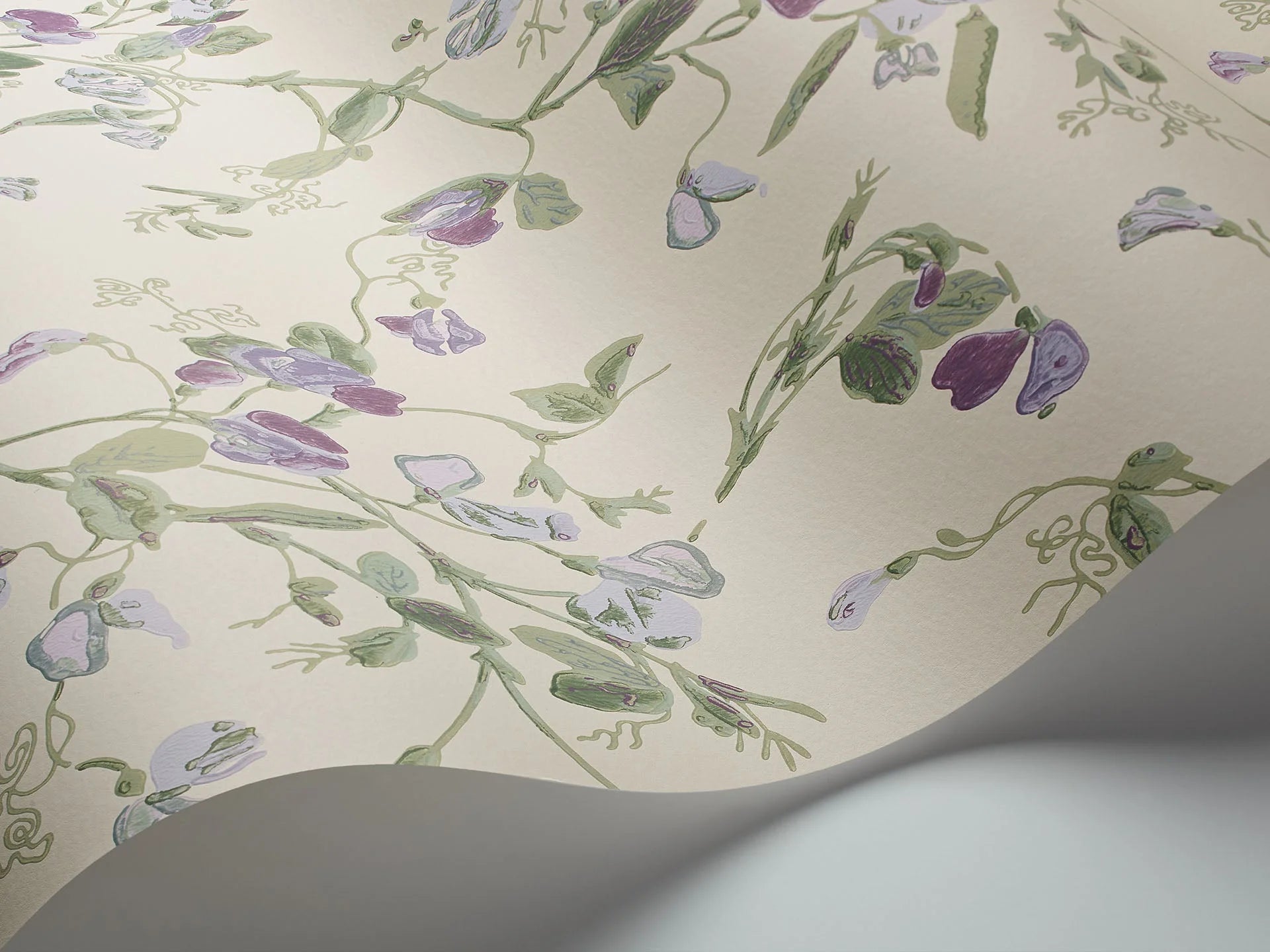 Cole & Son Botanical - Botanica  , Sweet Pea Archive Anthology , Mulberry & Sage on Cream