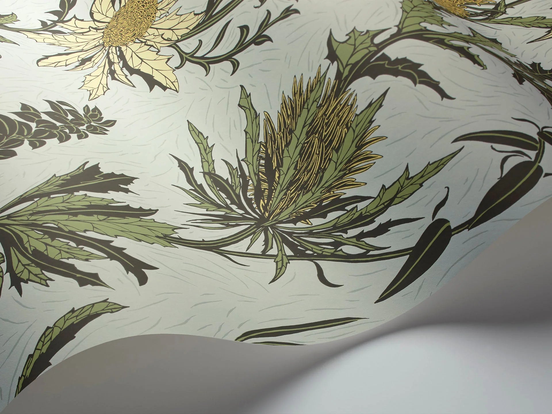 Cole & Son Botanical - Botanica  , Thistle, Lemon & Olive on Sea Foam