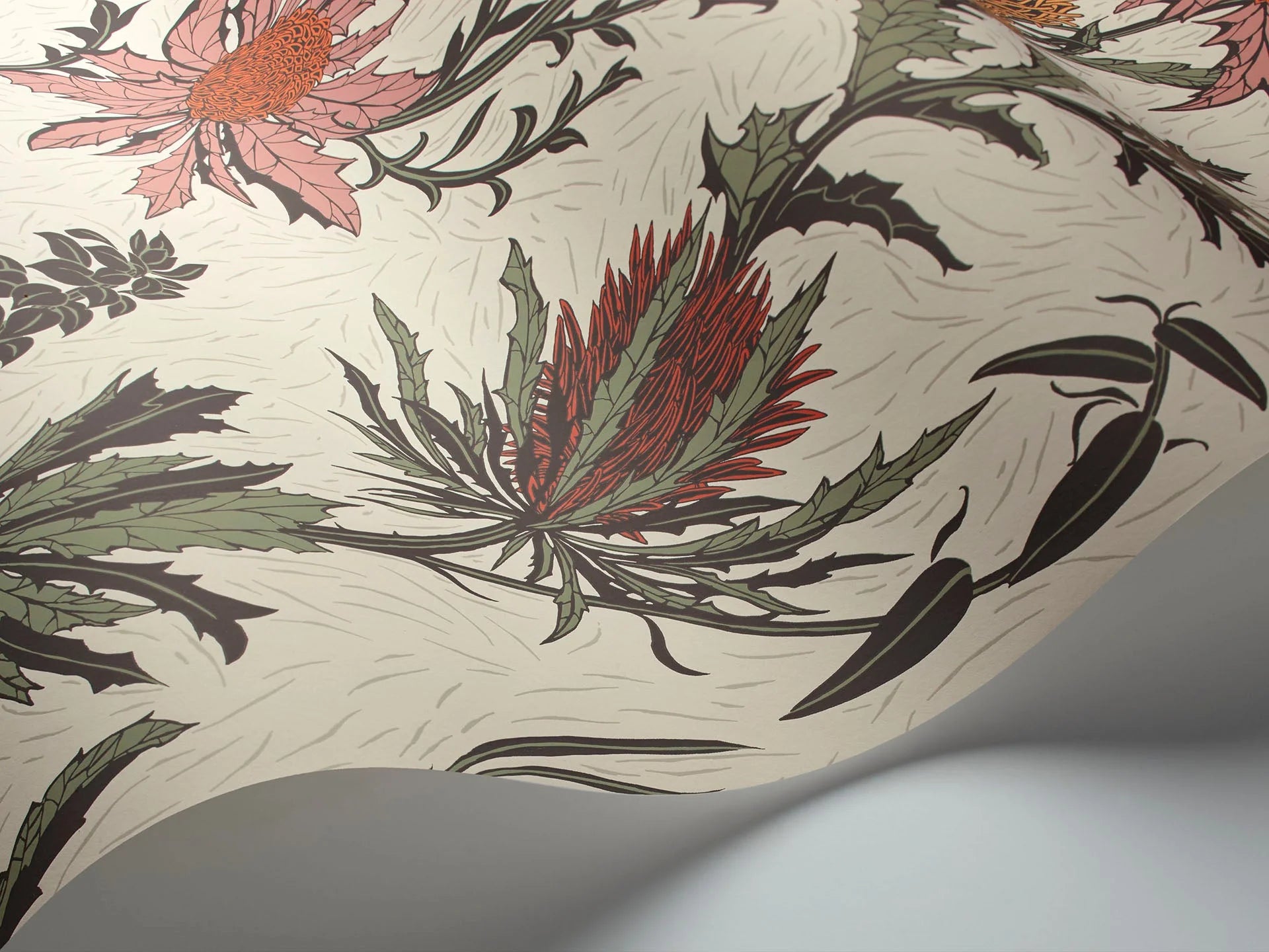 Cole & Son Botanical - Botanica, Thistle  Magenta & Orange on Parchment