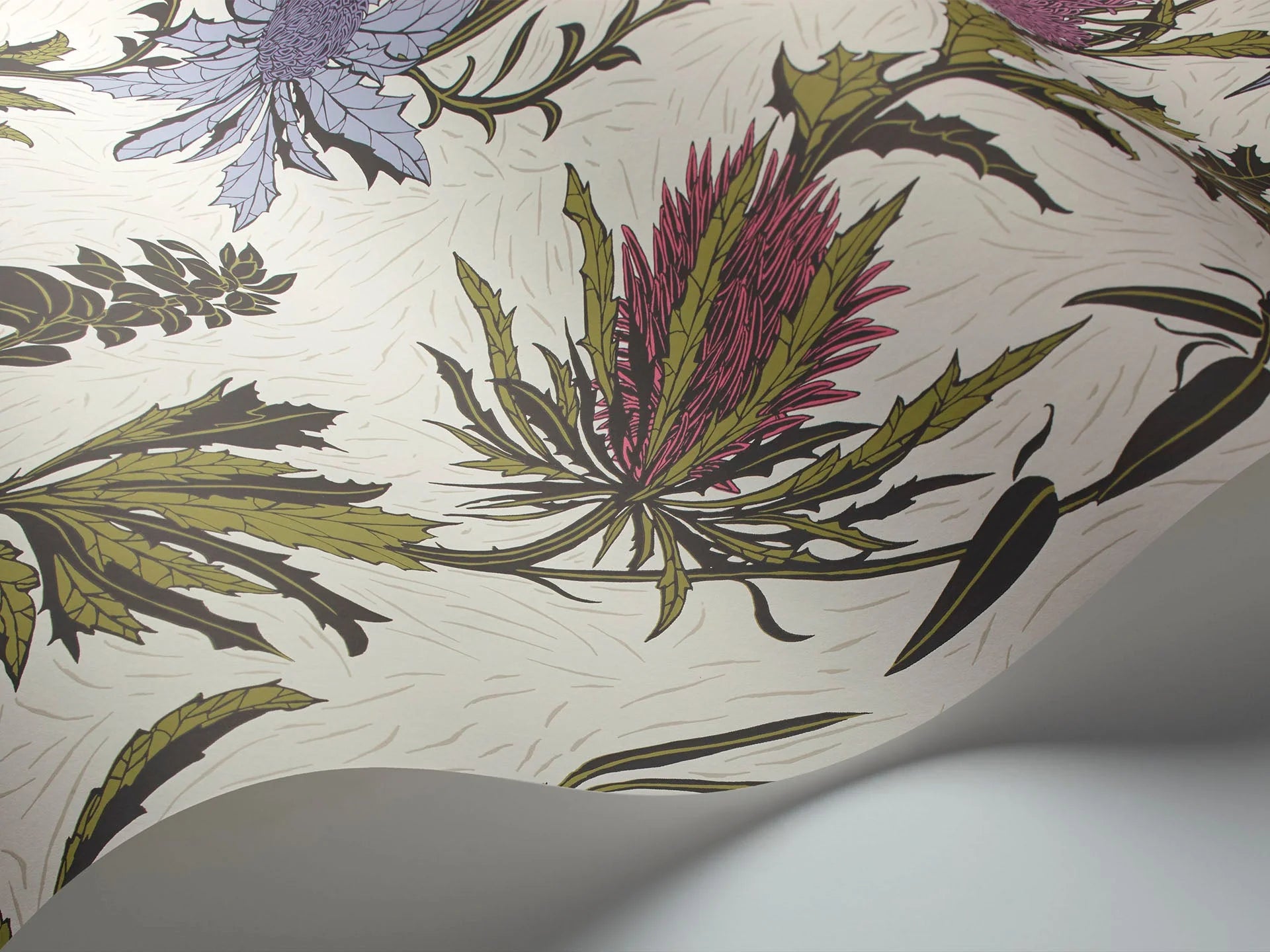 Cole & Son Botanical - Botanica, Thistle,   Lilac & Cerise on White