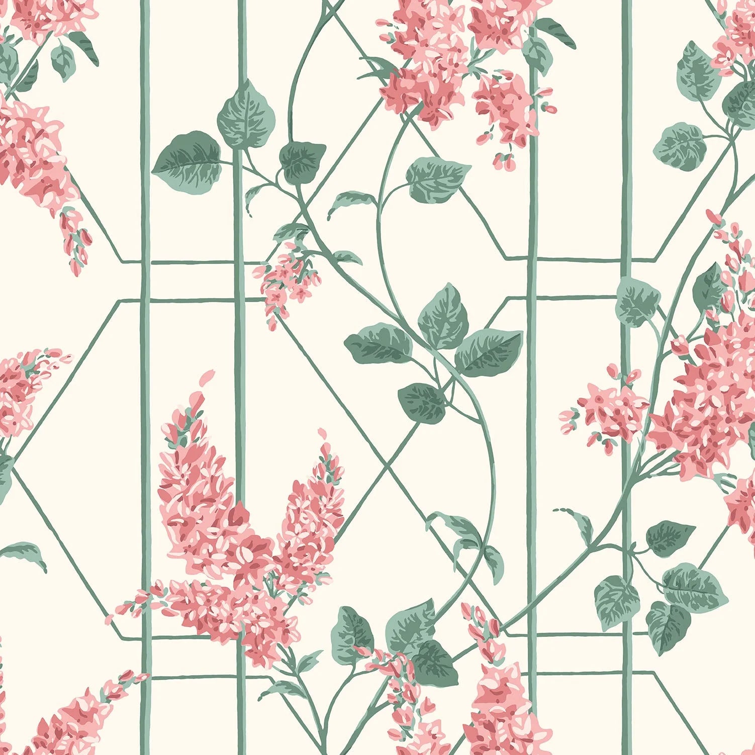 Cole & Son Botanical - Botanica, Wisteria, Coral & Sage on White