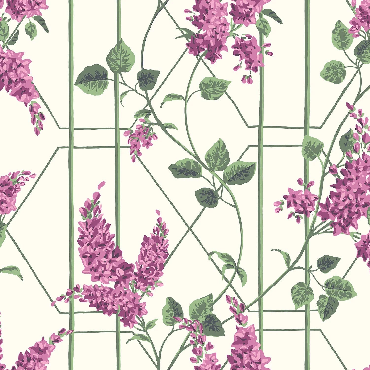 Cole & Son Botanical - Botanica, Wisteria, Magenta & Leaf Green on Chalk