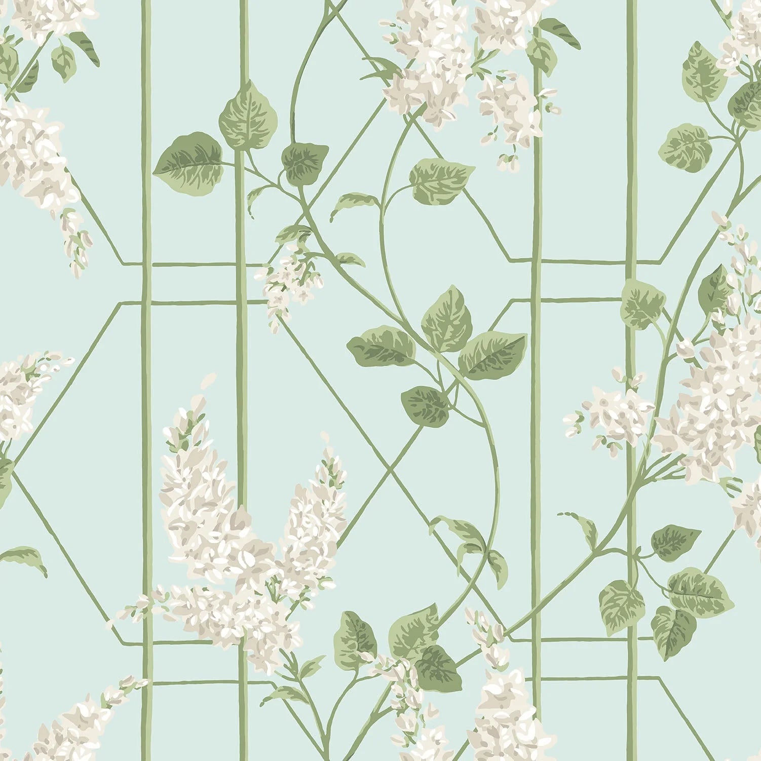 Cole & Son Botanical - Botanica, Wisteria, Stone & Olive on Duck Egg