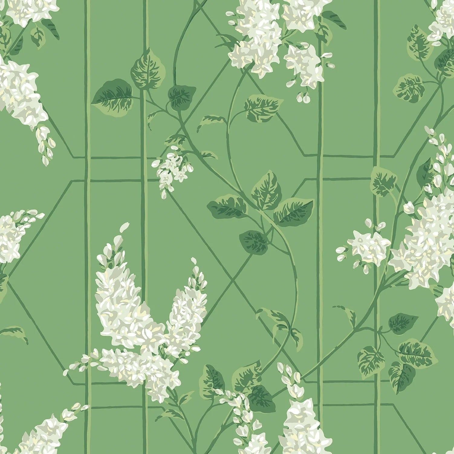 Cole & Son Botanical - Botanica, Wisteria, Sage on Leaf Green