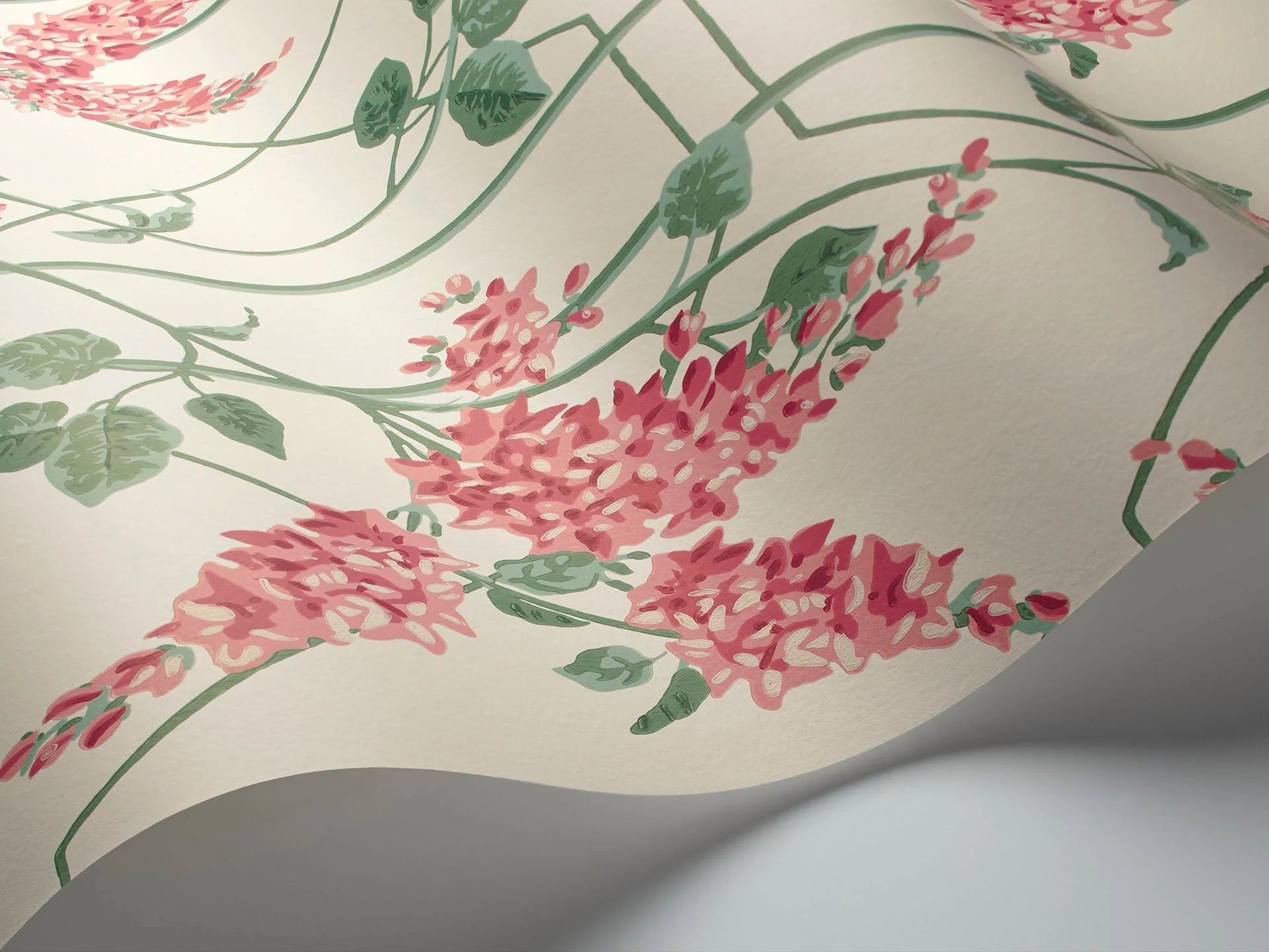 Cole & Son Botanical - Botanica, Wisteria, Coral & Sage on White