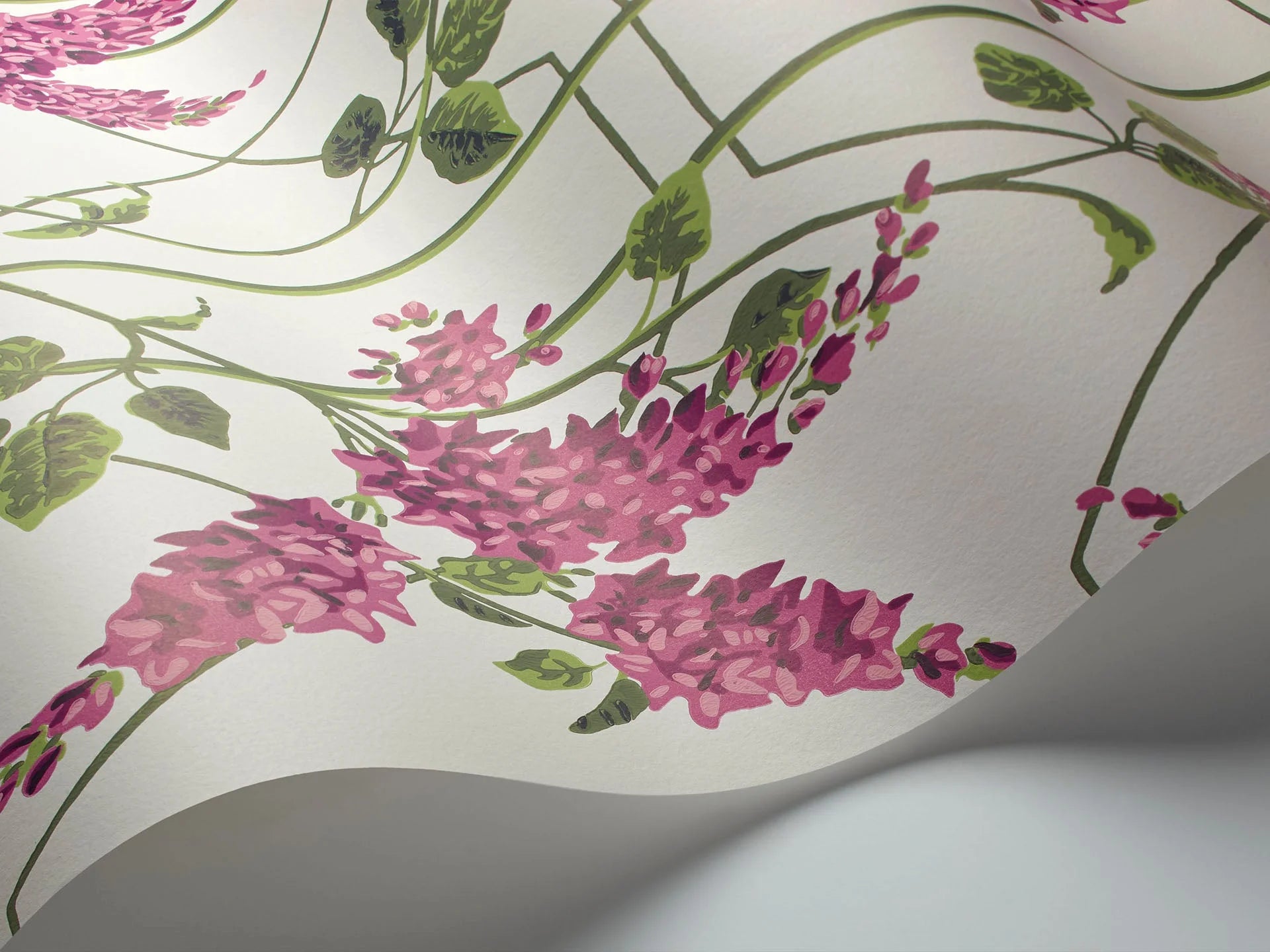 Cole & Son Botanical - Botanica, Wisteria, Magenta & Leaf Green on Chalk