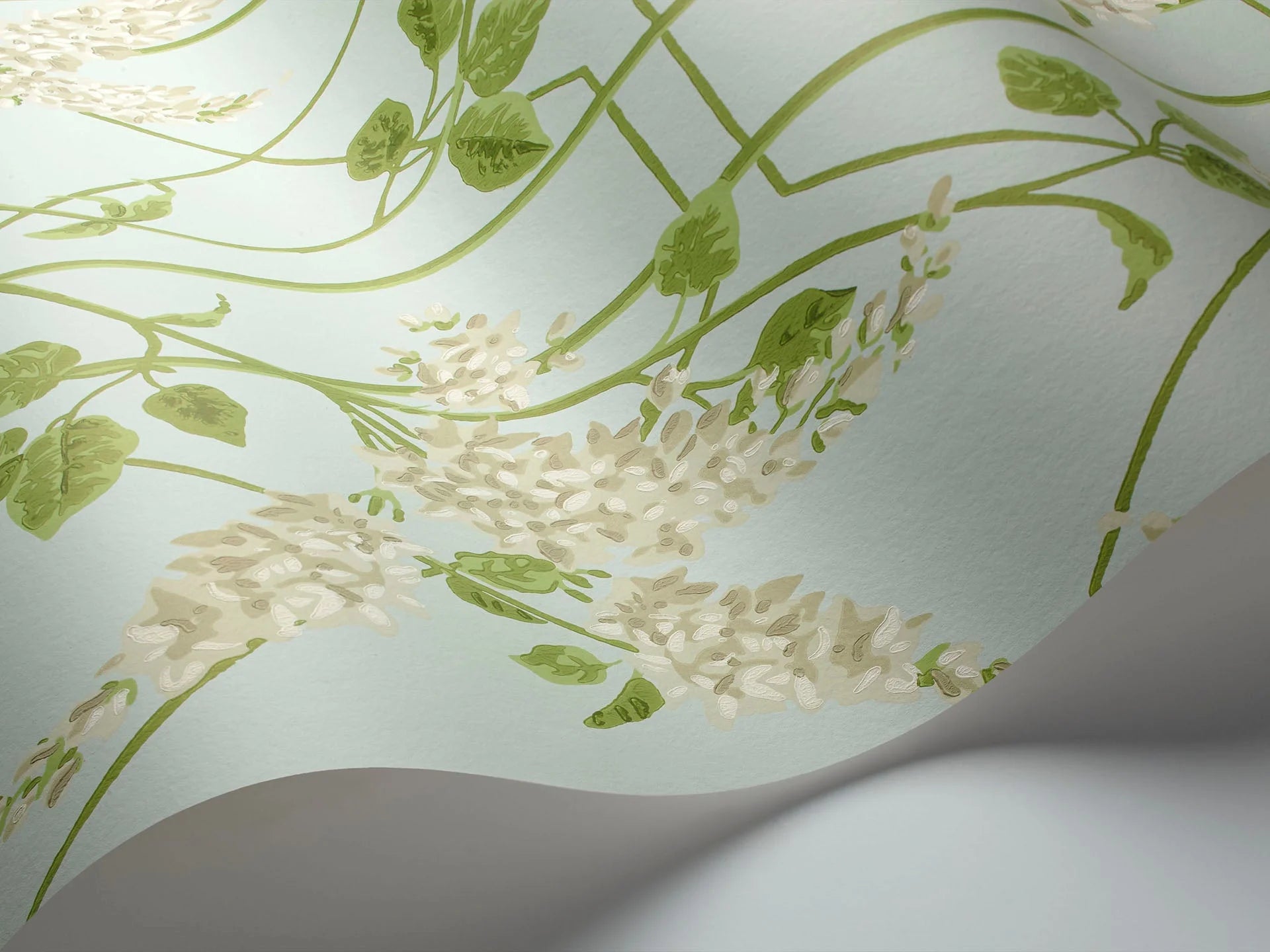 Cole & Son Botanical - Botanica, Wisteria, Stone & Olive on Duck Egg