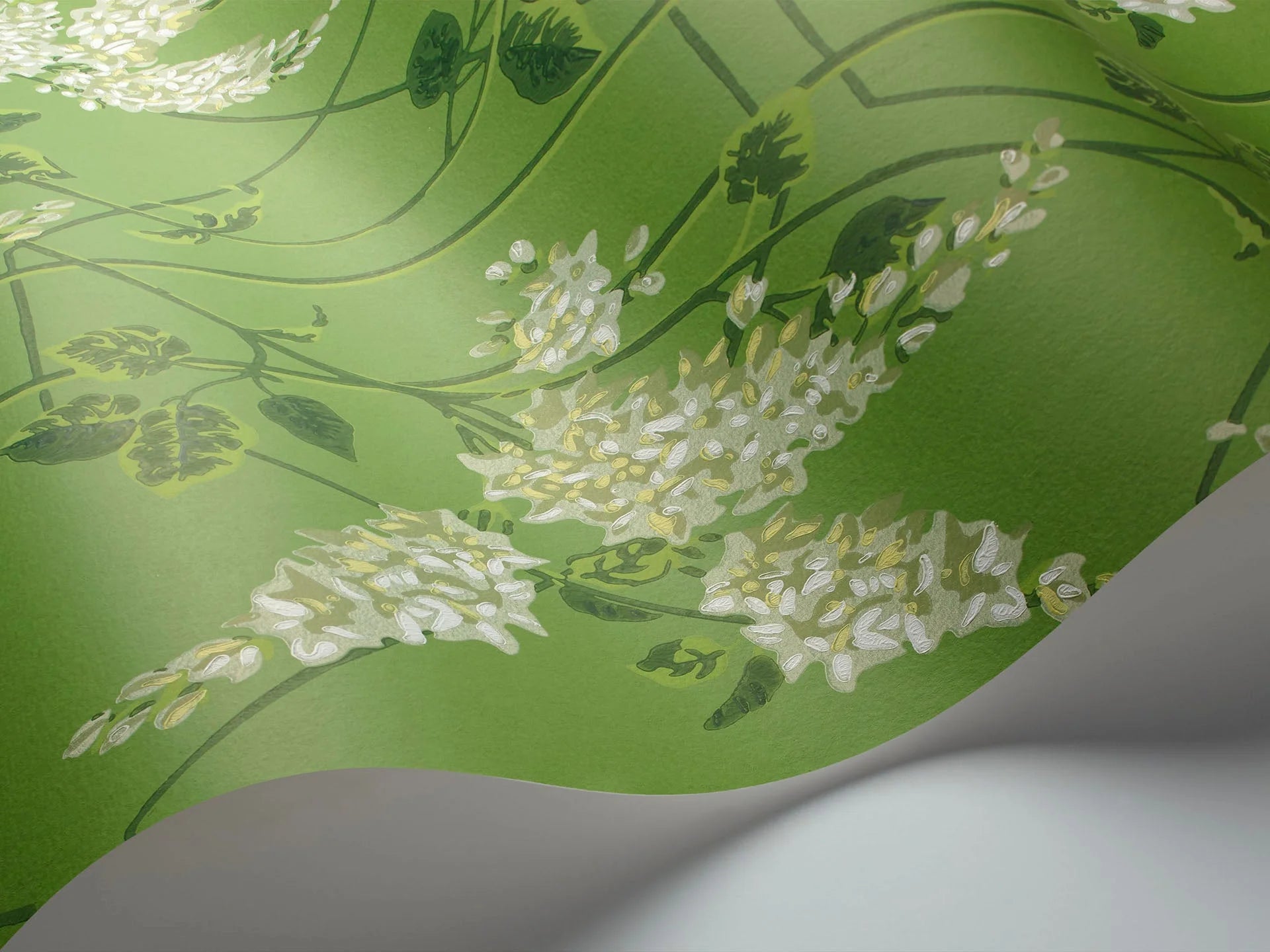 Cole & Son Botanical - Botanica, Wisteria, Sage on Leaf Green