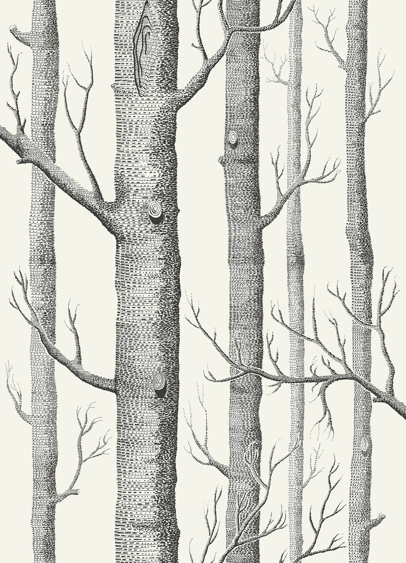 Cole & Son Contemporary Collection, Woods, Black on White