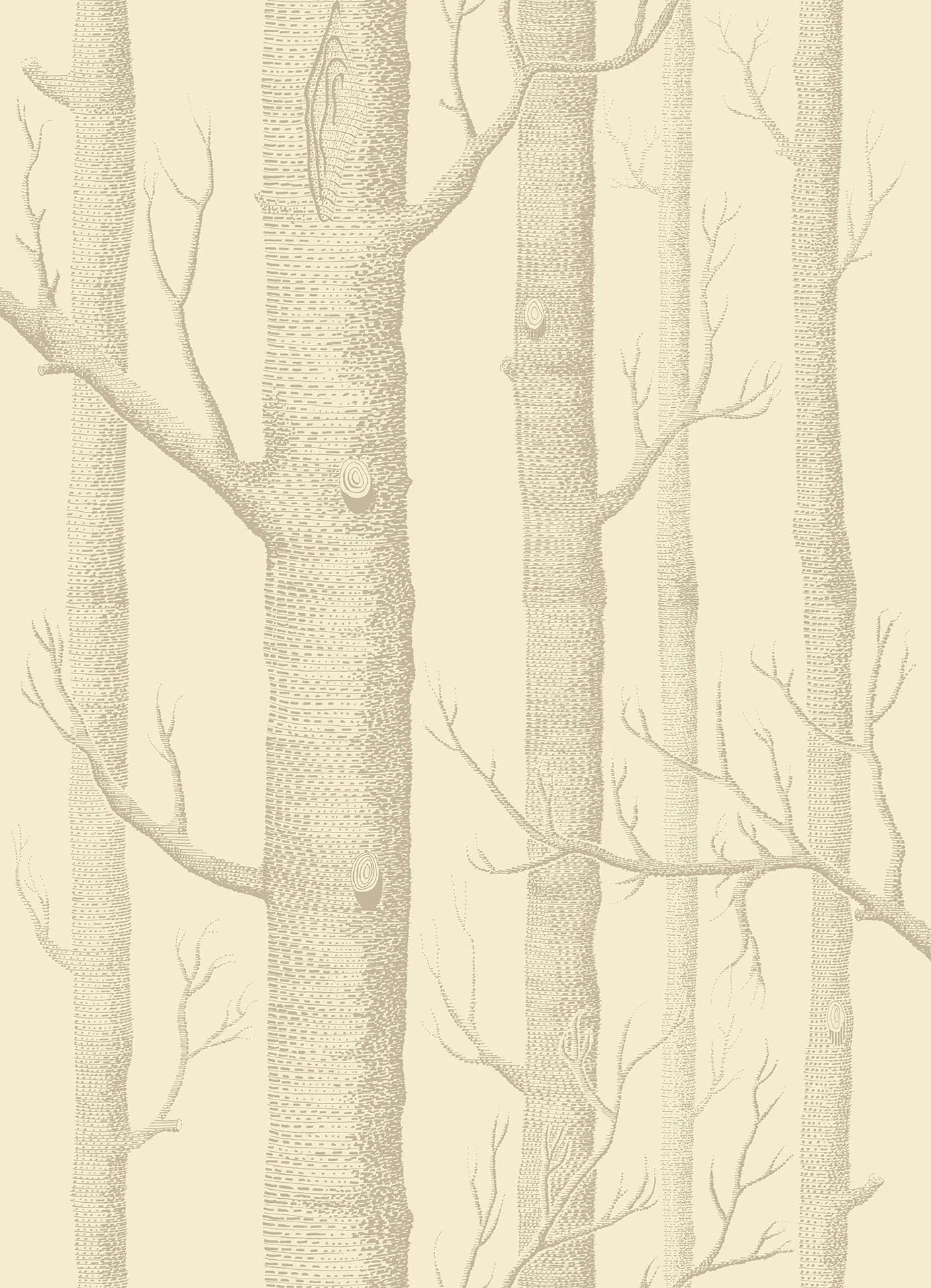Cole & Son Contemporary Collection, Woods, Linnen op crème