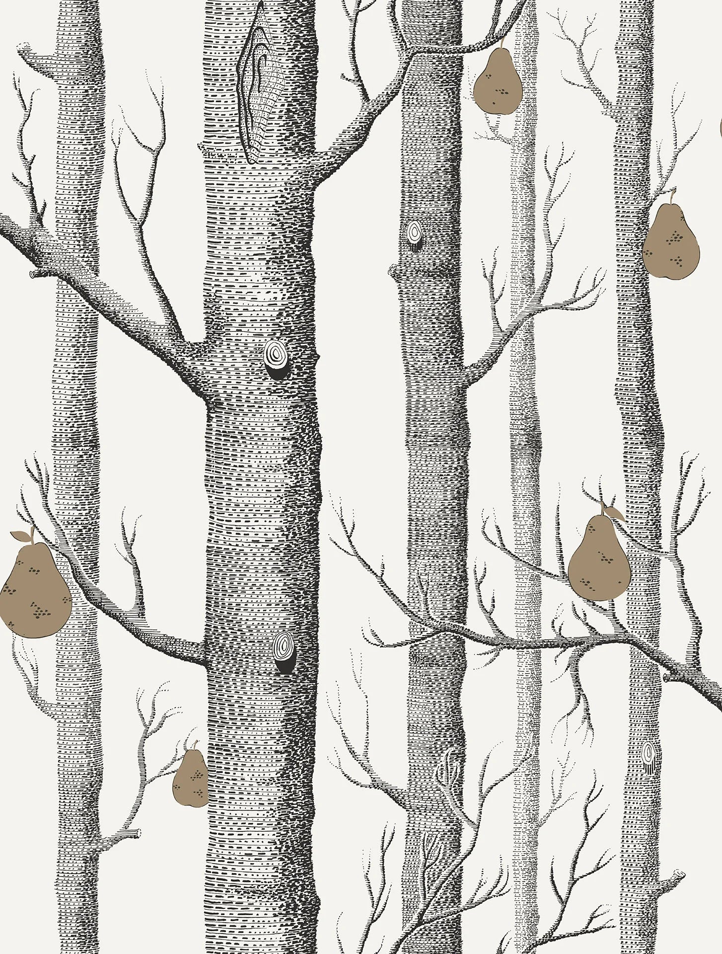 Cole & Son Contemporary Collection, Woods & Pears, Charcoal & Metallic Bronze on Parchment