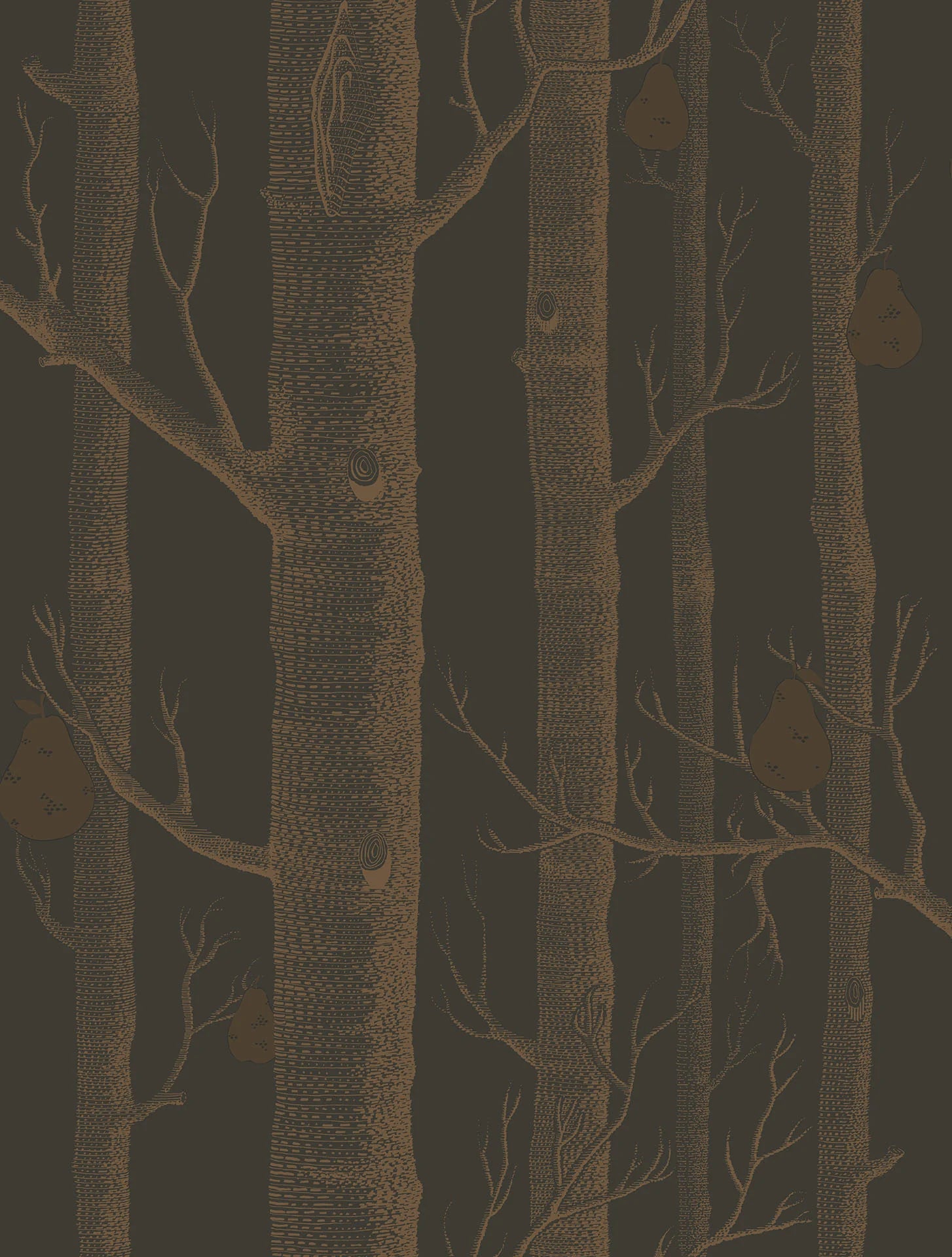 Cole & Son Contemporary Collection, Woods & Pears, Metallic Bronze on Charcoal