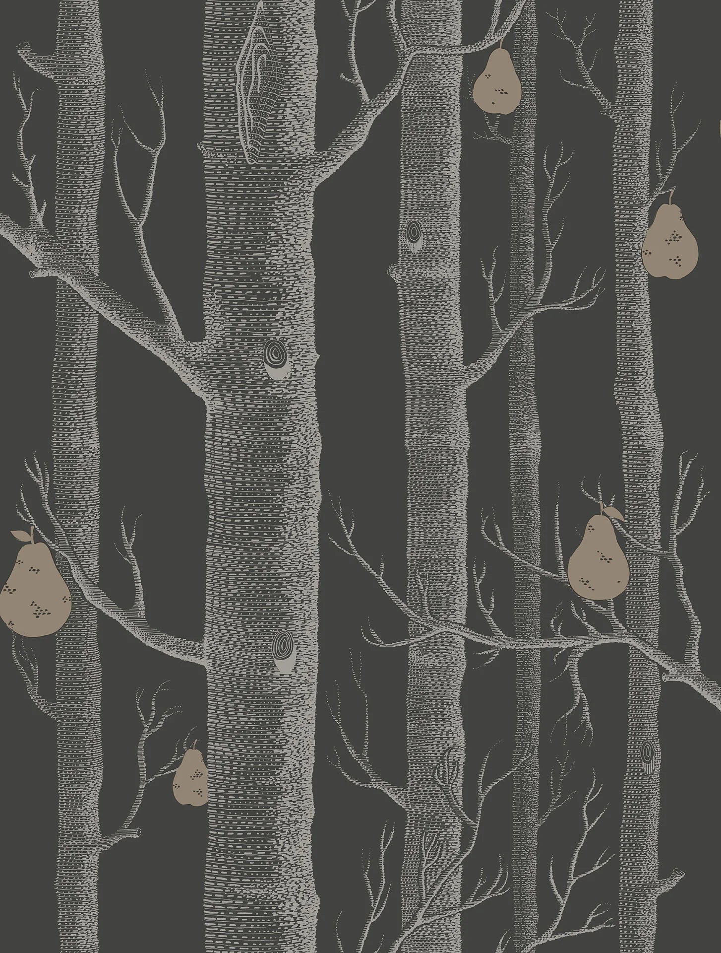 Cole & Son Contemporary Collection, Woods & Pears, White & Metallic Silver on Charcoal