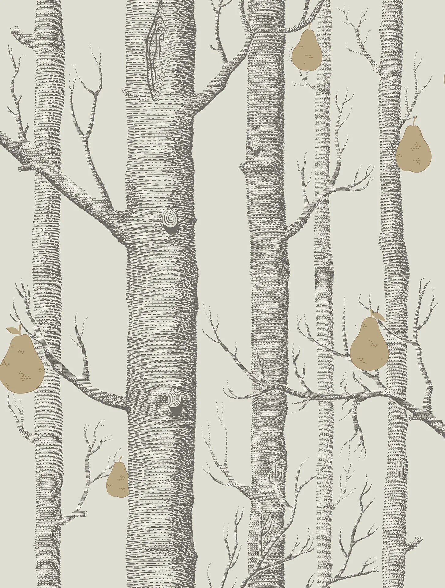 Cole & Son Contemporary Collection, Woods & Pears, Soot & Metallic Gold on Stone