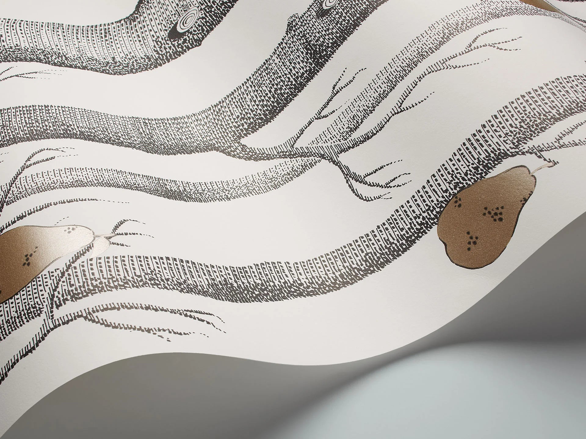 Cole & Son Contemporary Collection, Woods & Pears, Charcoal & Metallic Bronze on Parchment