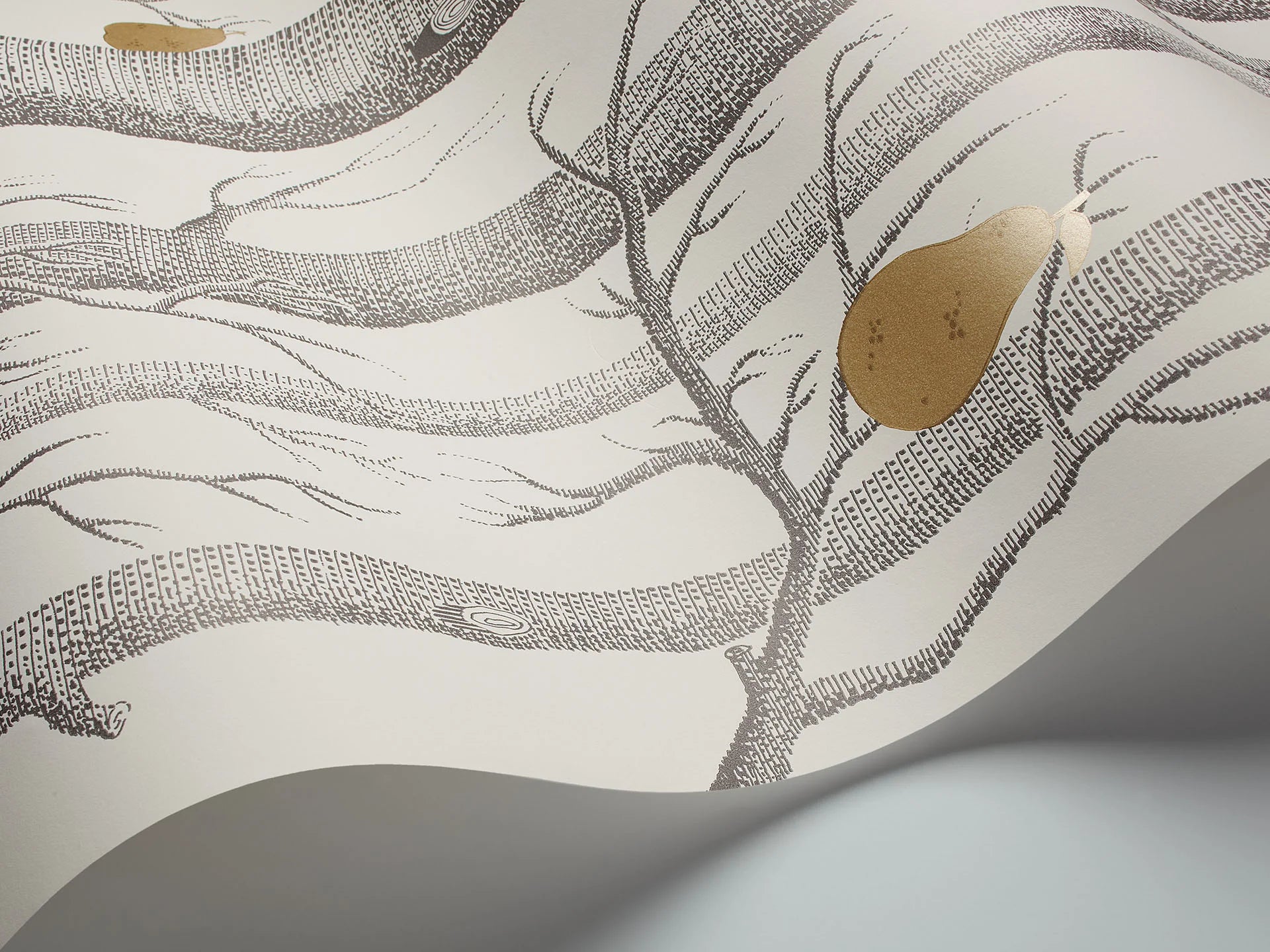 Cole & Son Contemporary Collection, Woods & Pears, Soot & Metallic Gold on Stone