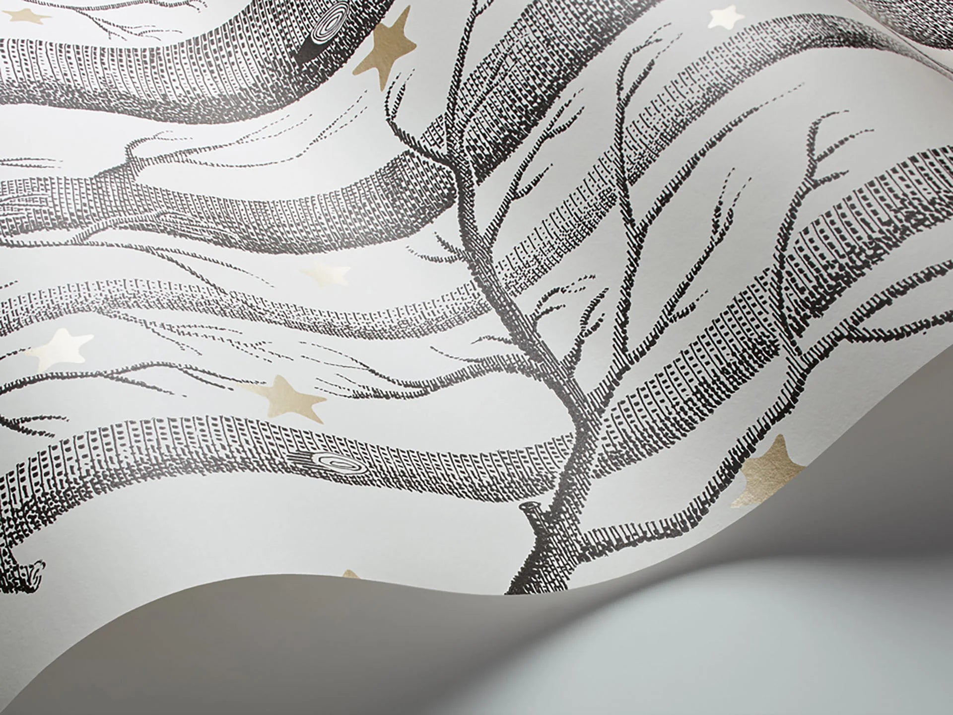 Cole & Son Whimsical Woods & Stars, Black & White