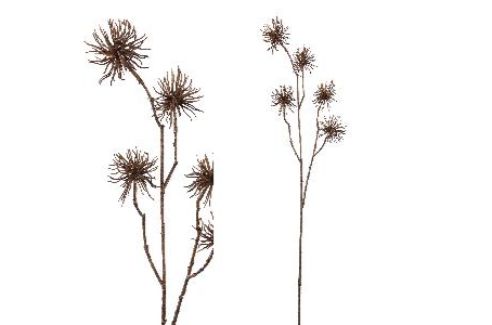 THISTLE BRANCH BROWN L68