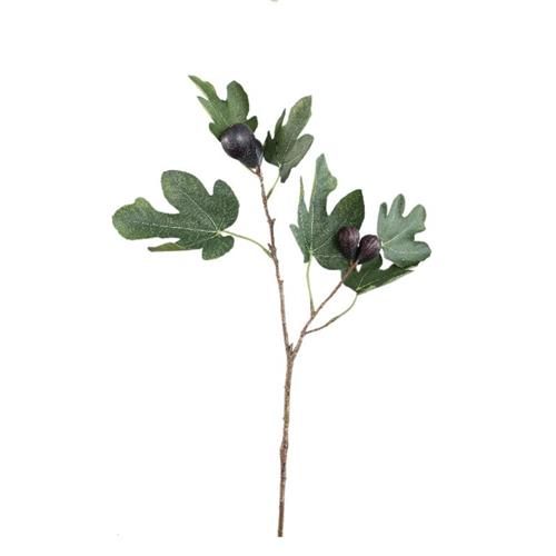 PTMD Siertak Vijg 55cm